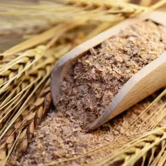 Holzschaufel mit gequetschter Gerste, umgeben von Ähren. Ein gesundes Futter für jedes Pferd.