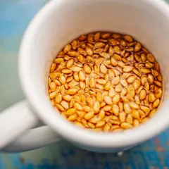 Eine weiße Tasse gefüllt mit goldenen Leinsamen, die in Wasser quellen. Ein gesundes Frühstück, das wie ein kleines Ei aussieht.