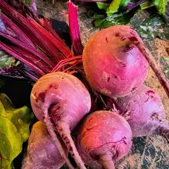 Frische Rote Bete Knollen mit grünen Blättern und roten Stielen liegen auf einer Holzoberfläche.
