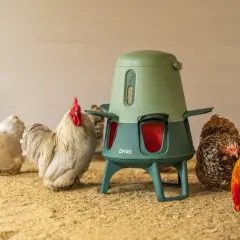 Hühner um einen Futterautomaten. Der Automat zeigt, wieviel Futter ein Huhn braucht.
