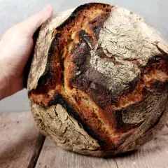 Ein handgehaltener Laib Brot mit knuspriger Kruste, perfekt für Weizenmehl 1050 Rezepte.