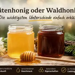 Zwei Gläser Honig, hell und dunkel, zeigen die Unterschiede zwischen Blüten- und Waldhonig. Was ist Waldhonig? Er hat besondere Eigenschaften.