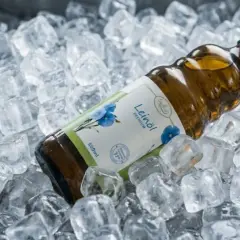 Flasche mit leinöl direkt von der mühle, gekühlt in Eiswürfeln.