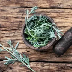 Frische Wermut-Zweige in einer Holzschale neben einem Mörser. Was ist Wermut? Eine Heilpflanze mit charakteristischen silbrig-grünen Blättern.