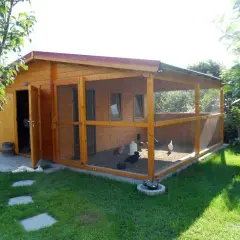 Holz-Gartenhaus mit integriertem Hühnerstall und Freigehege. Hühner picken im Sand, ein Hahn sitzt im Wasserbad.