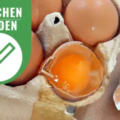 Braune Eier in einem Karton, ein Ei ist zerbrochen und zeigt das leuchtend orangefarbene Eigelb. Die Aufschrift "ÄKCHEN HELDEN" und ein Symbol mit einem Haken und Stift deuten auf die richtige Lagerung von Eiern hin.