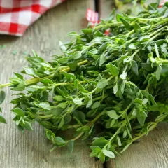 Ein Bündel frischer Thymian, gebunden mit rot-weiß kariertem Band, verströmt seinen aromatischen Geschmack.