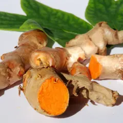Frische Kurkumawurzeln mit leuchtend orangefarbenem Inneren. Man kann Kurkuma mit Schale essen, sie ist essbar und gesund.