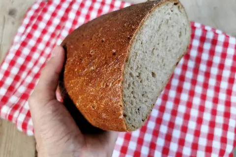 Eine Hand hält ein frisch gebackenes, genetztes Brot mit knuspriger Kruste und weicher Krume. Darunter liegt eine rot-weiße karierte Serviette.