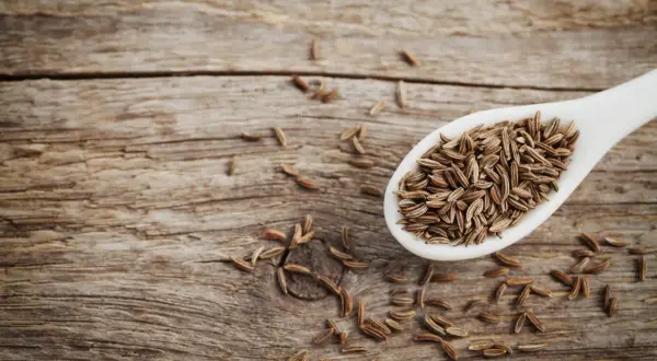 Ein Löffel voller Kreuzkümmelsamen, die für ihre verdauungsfördernde cumin wirkung bekannt sind, liegen auf rustikalem Holz.