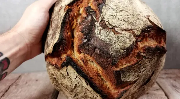 Ein handgehaltener Laib Brot mit knuspriger Kruste, perfekt für Weizenmehl 1050 Rezepte.