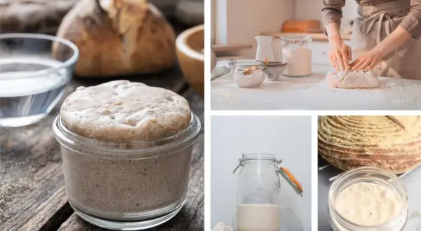 Ein Glas mit blubberndem Sauerteig, daneben ein Brot. Eine Bäckerin knetet Teig. Der Prozess der Sauerteig Hefe.