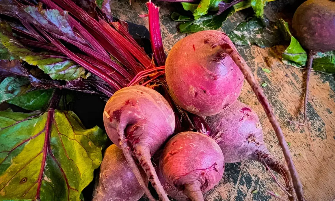 Frische Rote Bete Knollen mit grünen Blättern und roten Stielen liegen auf einer Holzoberfläche.