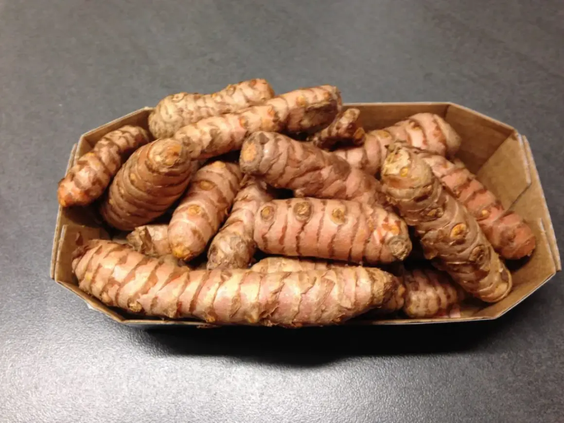 Frische Kurkuma-Wurzeln in einer Pappschale, bereit für leckere Kurkuma-Wurzel-Rezepte.