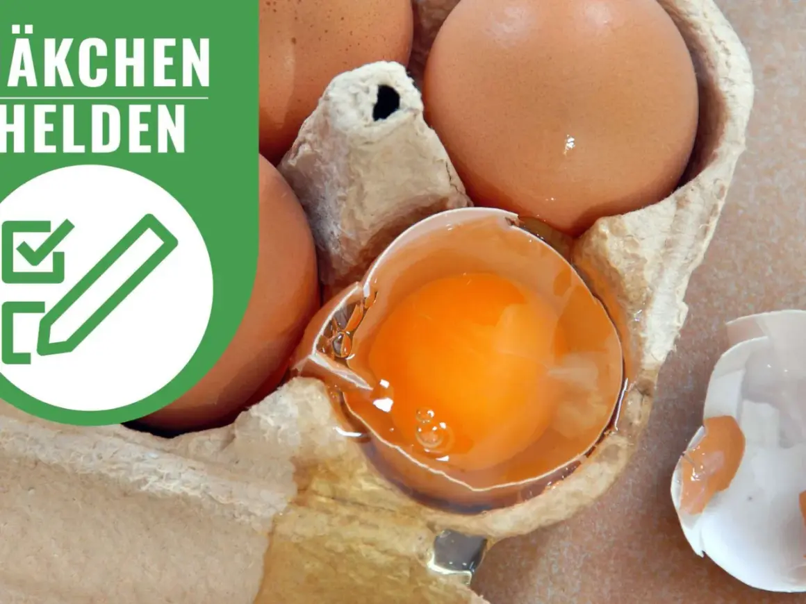 Braune Eier in einem Karton, ein Ei ist zerbrochen und zeigt das leuchtend orangefarbene Eigelb. Die Aufschrift "ÄKCHEN HELDEN" und ein Symbol mit einem Haken und Stift deuten auf die richtige Lagerung von Eiern hin.