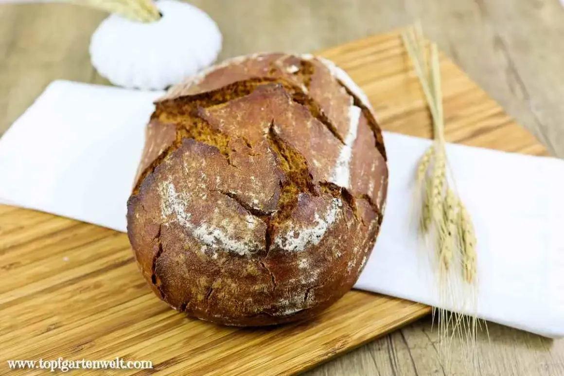 Ein rustikales Bierbrot mit Sauerteig, auf einem Holzbrett mit einem weißen Tuch und Ähren dekoriert.