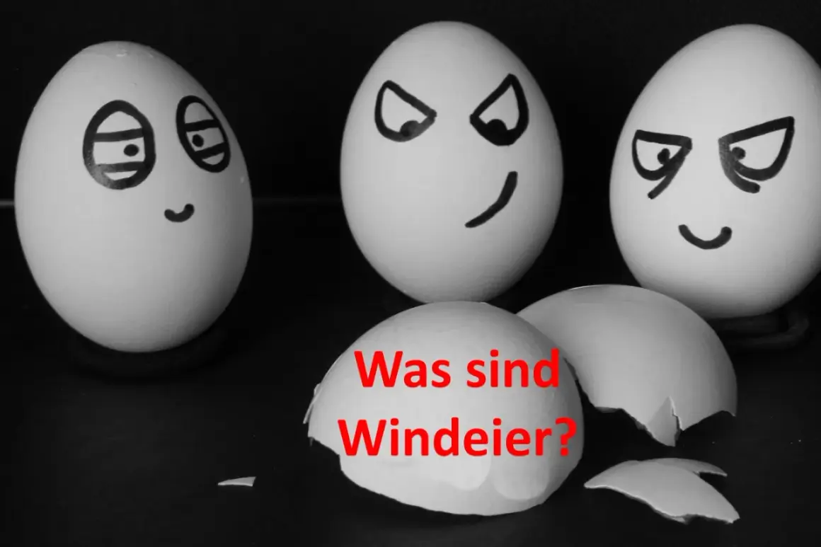 Drei Eier mit Gesichtern, eines davon ein Windei-Huhn, fragt: "Was sind Windeier?".