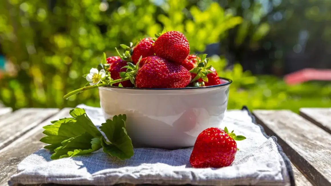 Frisch geerntete Erdbeeren in einer Schüssel, ein Zeichen für die gute Pflege der Erdbeerpflanzen.