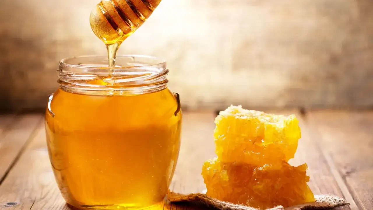 Wie schmeckt Manuka-Honig? Aromen, MGO und passende Sorten
