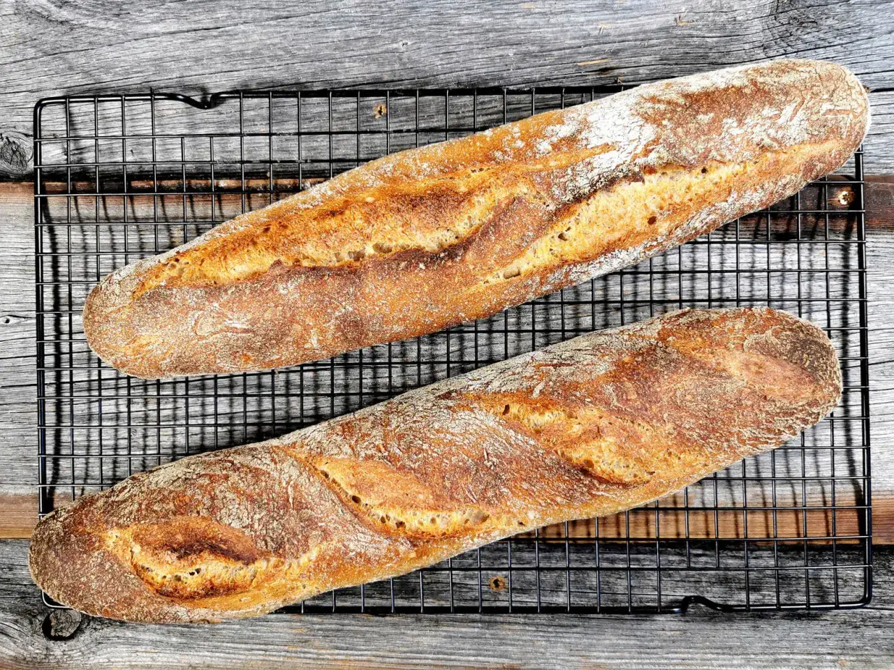 Zwei knusprige Sauerteig Baguettes mit goldbrauner Kruste und Mehlstaub auf einem Gitter.