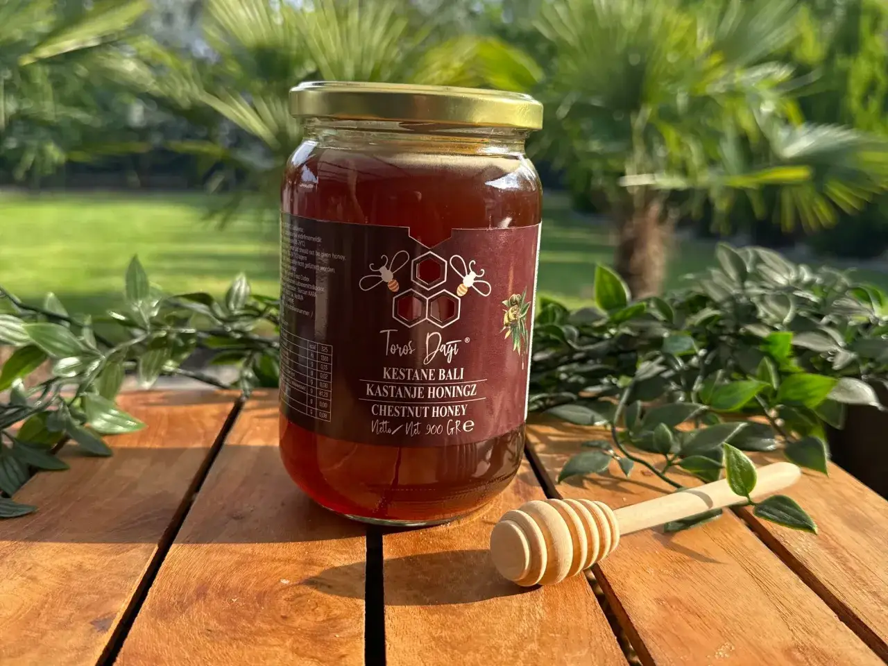 Glas Kastanienhonig auf Holztisch. Die natürliche Kastanienhonig Wirkung ist bekannt für seine antibakteriellen Eigenschaften.