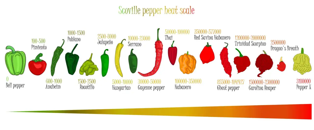 Die Scoville-Skala zeigt, was ist Chili: von milden Paprika bis zu extrem scharfen Sorten wie Carolina Reaper.