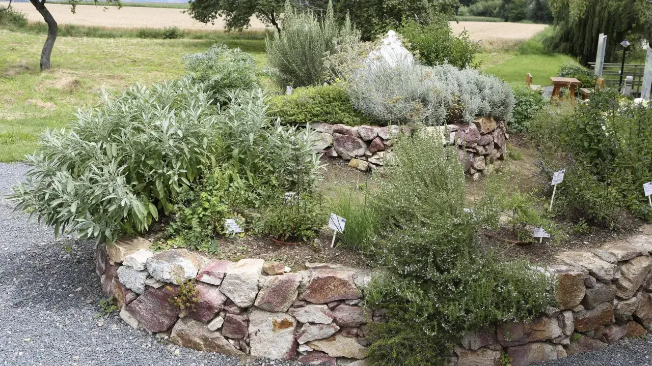 Kräuterbeet mit Salbei, Lavendel und Thymian. Der ideale Oregano Standort ist sonnig und trocken, wie hier in diesem liebevoll angelegten Steingarten.