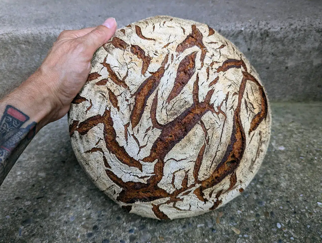 Eine Hand hält ein rundes Roggenbrot mit knuspriger Kruste. Dieses Roggenbrot ist gesund und sieht köstlich aus.