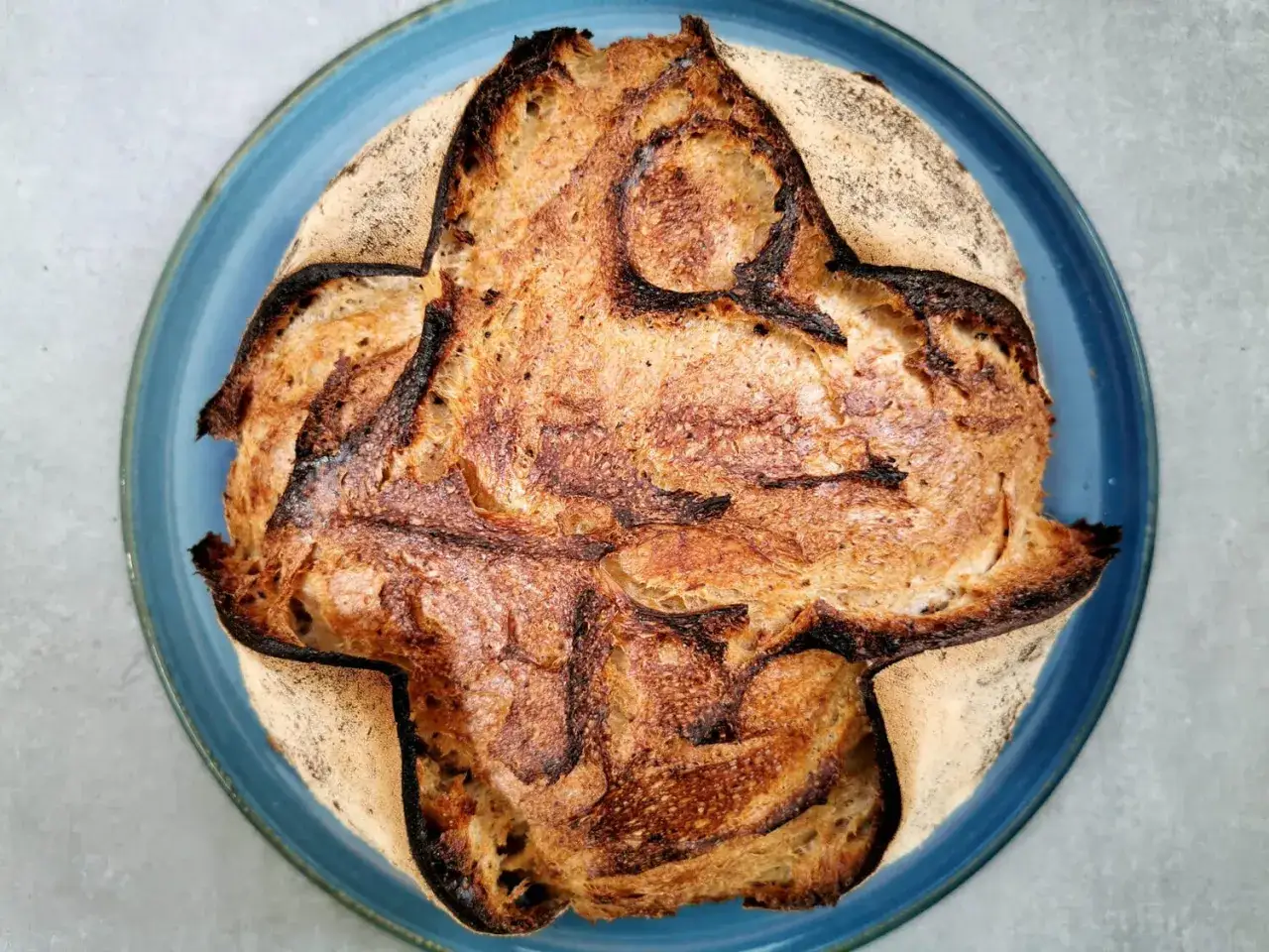 Ein knuspriges, goldbraunes Porridge Brot mit dunkler Kruste auf einem blauen Teller.