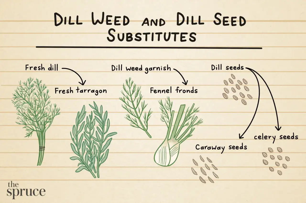 Illustration zeigt Kräuter und Samen als Dill-Ersatz: frischer Dill, Estragon, Fenchelgrün, Dill-, Kümmel- und Selleriesamen.