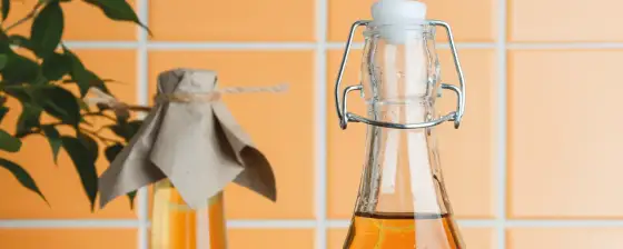Essig oder Essigessenz? Unterschiede und richtige Anwendung