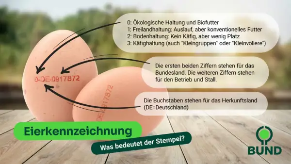 Eierkennzeichnung erklärt: Die Zahlen geben Haltungsform (0-3), Bundesland & Stall an. DE steht für Deutschland. Infos zu Eier ab Hof Verkauf Vorschriften.