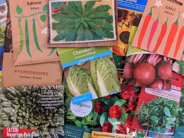 Samenpäckchen für verschiedene Gemüsesorten wie Bohnen, Chinakohl und Rote Bete. Hier erfährt man, was sind hybriden und wie man sie anbaut.